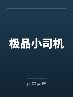 极品小司机