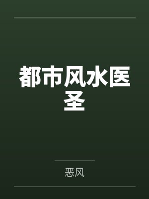 都市风水医圣