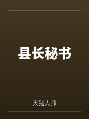 县长秘书