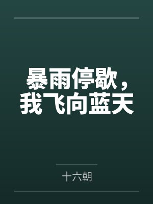 暴雨停歇,我飞向蓝天