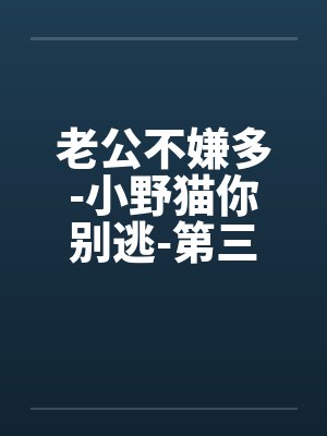 老公不嫌多-小野猫你别逃-第三部 大家和睦相处吧 111.早泄男的诞生（H）