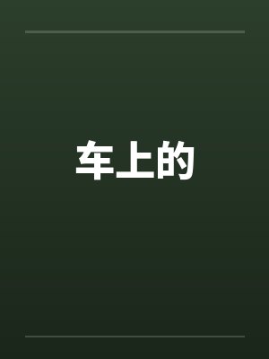 车上的
